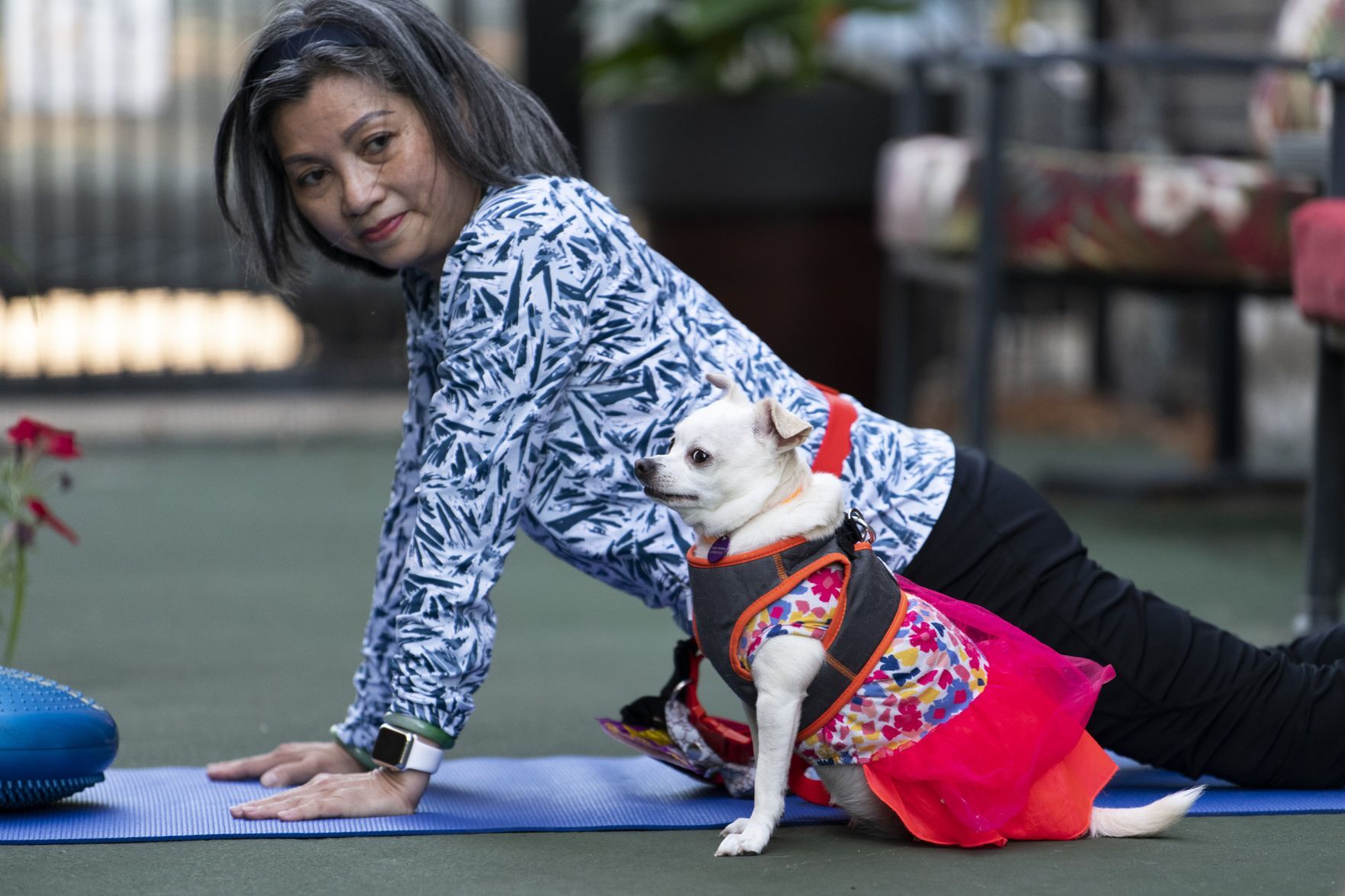 'Yappy Hour Yoga' combines pets with fitness
